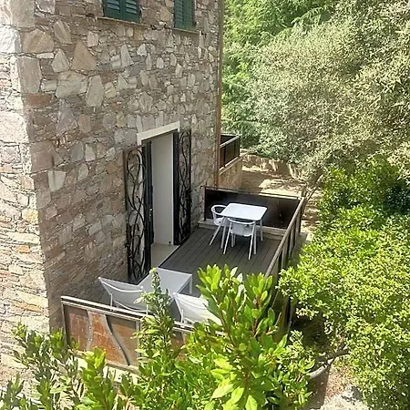 Kyrn Flor - Domaine Sant Antone Frühstückspension Corte (Corsica)